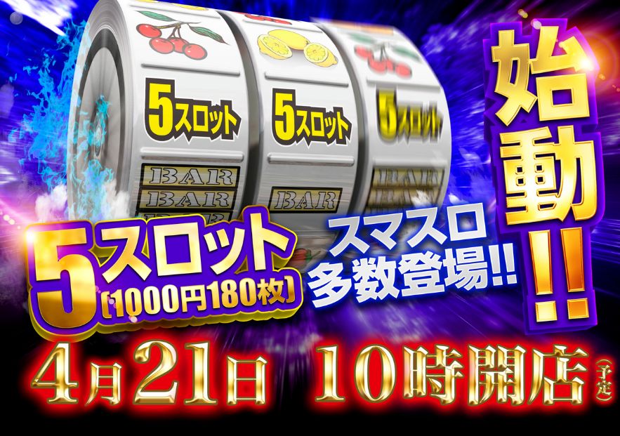 ダイナム千葉横芝店
