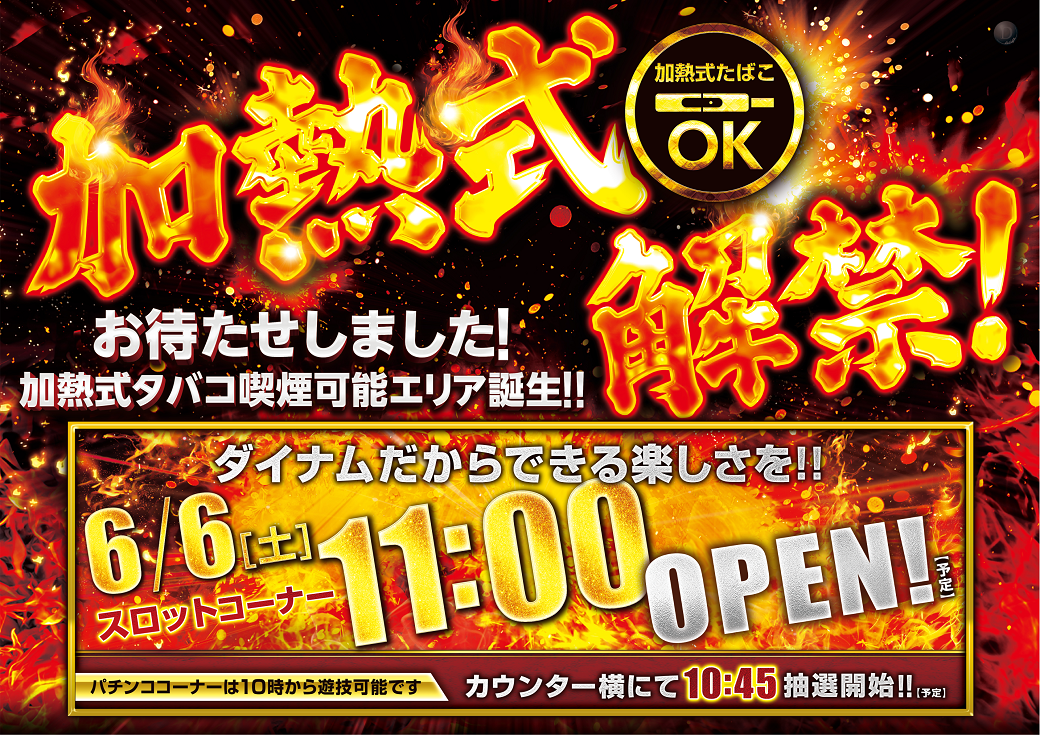 ダイナム日南店