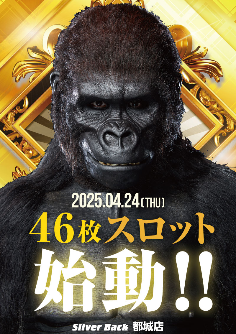 シルバーバック都城店