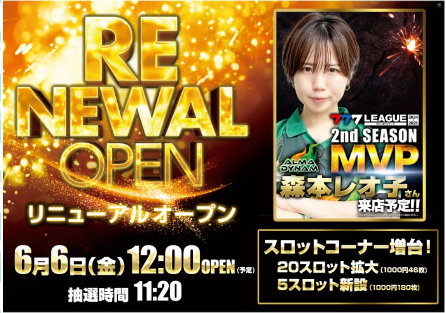 ダイナム千葉小見川店
