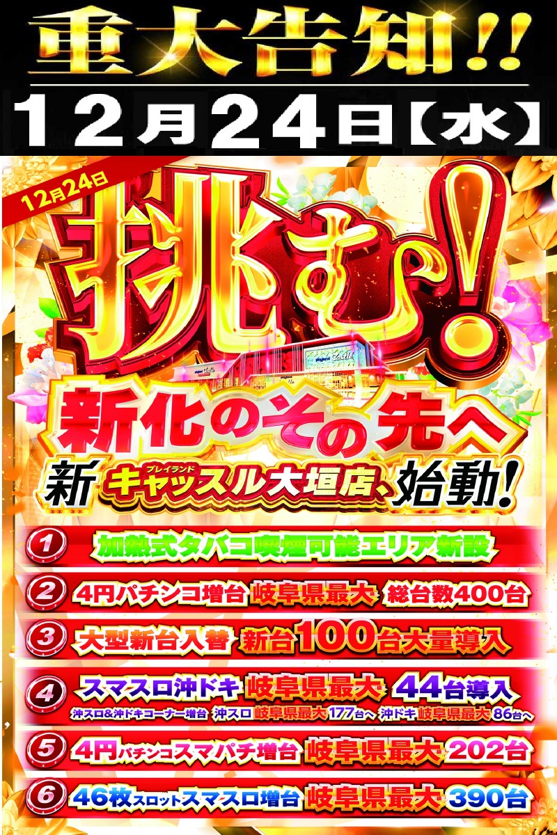 プレイランドキャッスル大垣店