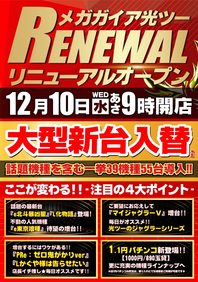 メガガイア光ツインパークⅡ