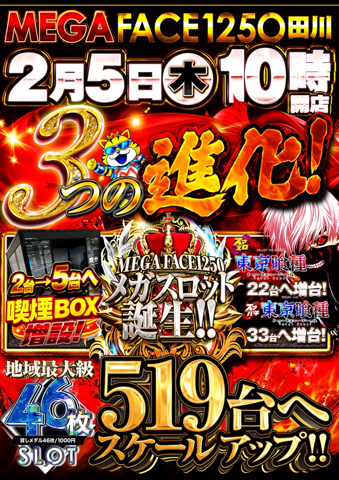 メガフェイス１２５０田川