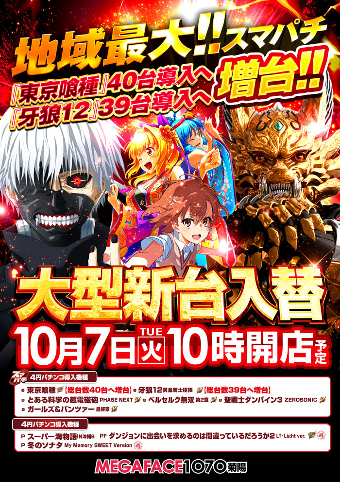 メガフェイス1070菊陽