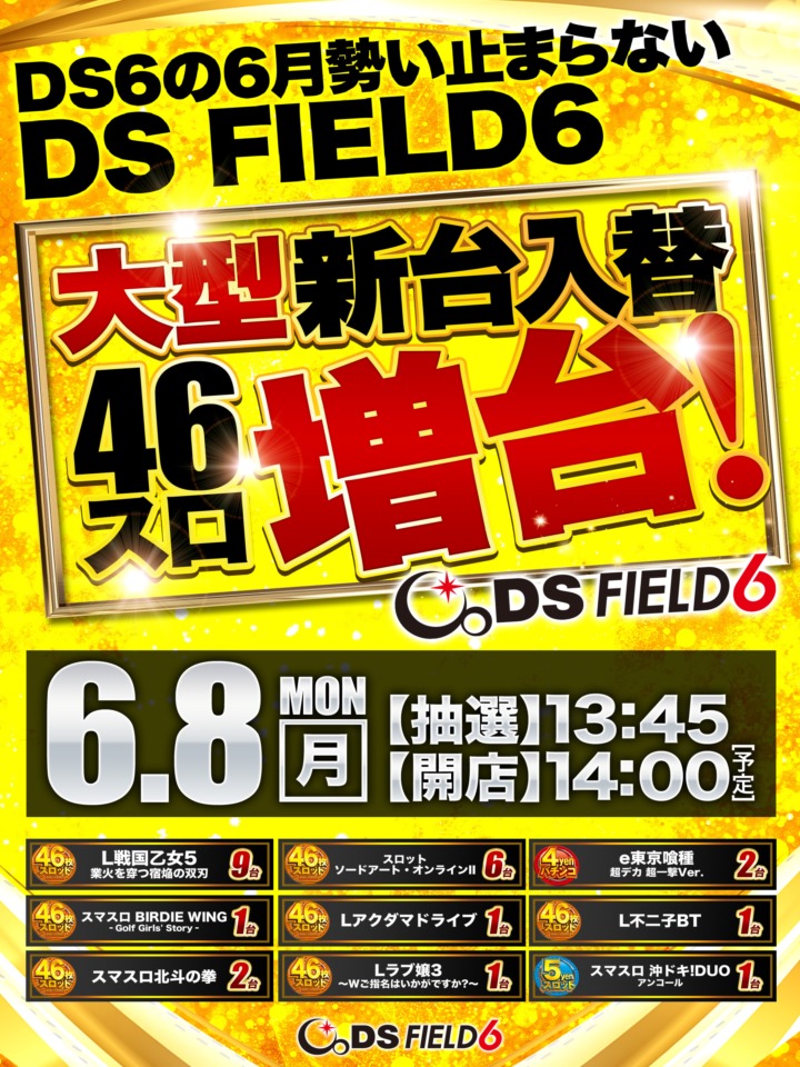 ＤＳ　ＦＩＥＬＤ６総社店