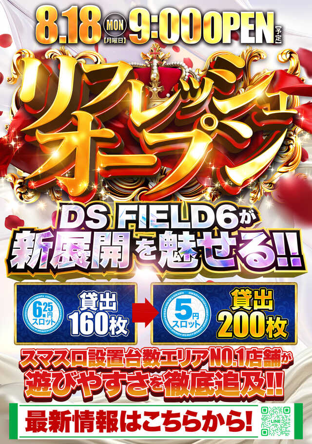 ＤＳ　ＦＩＥＬＤ６