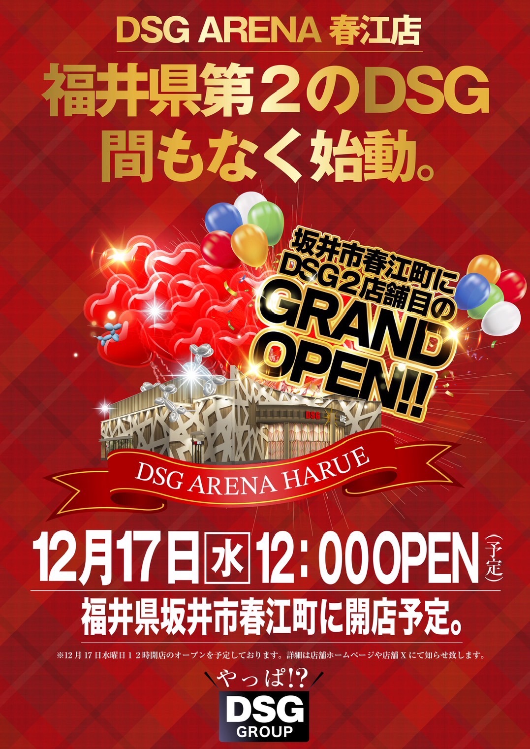 ＤＳＧアリーナ春江店