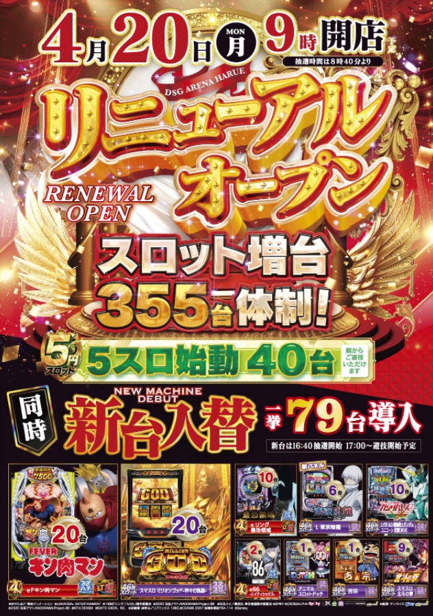 ＤＳＧアリーナ春江店